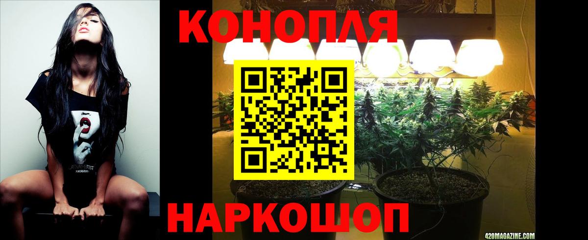 Бошки Шишки планчик Чайковский